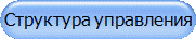 Структура управления